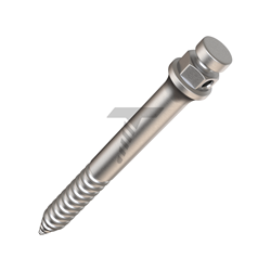 Orthodontic Zygomatic Micro-Implant (TADs)